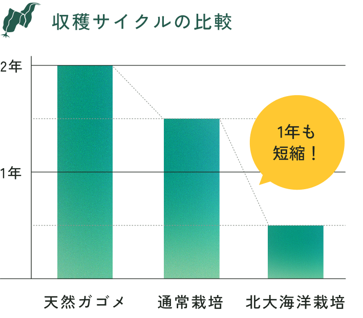 ライフサイクルのグラフ