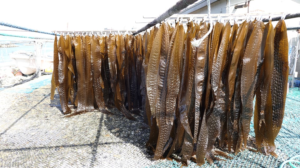 「「ねばり」の秘密と、そのチカラ」のイメージ画像