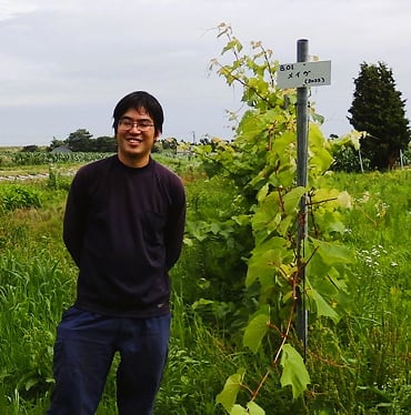 北海道ぶどう苗木園様（恵庭市）