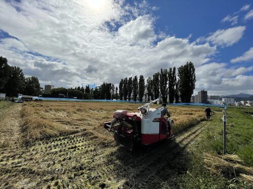 「北海道大学　純米酒　奥智（おくち）」のコンテンツイメージ画像