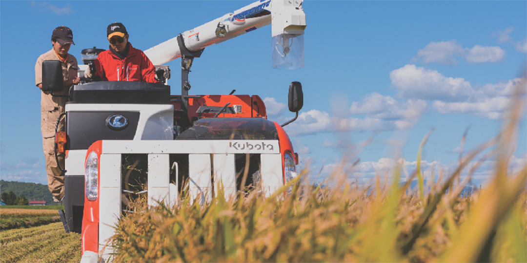 「北大クラーク大福（よもぎ）」のコンテンツイメージ画像