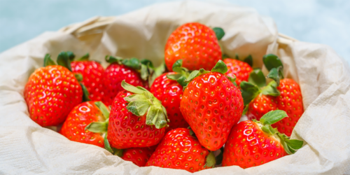 「北大クラークラスク　ストロベリーチョコレート」のコンテンツイメージ画像