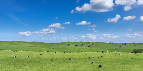 「北大クラークラスク　バター」のコンテンツイメージ画像