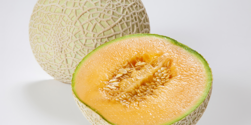 「北大クラークラスク　赤肉メロン」のコンテンツイメージ画像