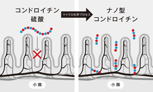 「ナノ型コンドロイチン」のコンテンツイメージ画像
