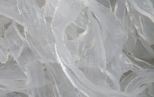 「ナノ型コンドロイチンEX」のコンテンツイメージ画像