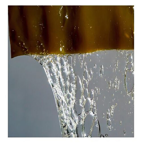 「北海道美女物語CCクリーム」のコンテンツイメージ画像