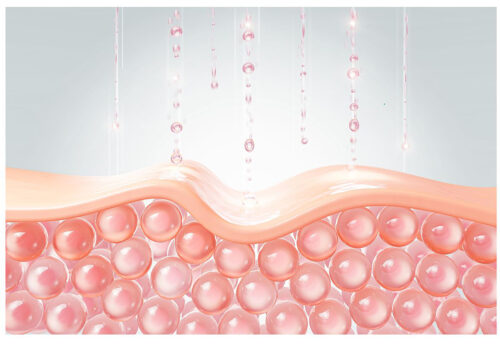 「北海道美女物語CCクリーム」のコンテンツイメージ画像