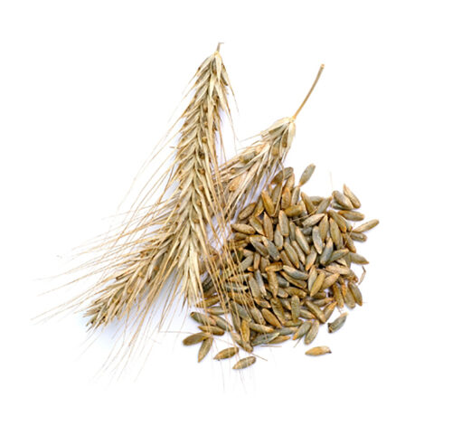 「北海道美女物語クリーム」のコンテンツイメージ画像