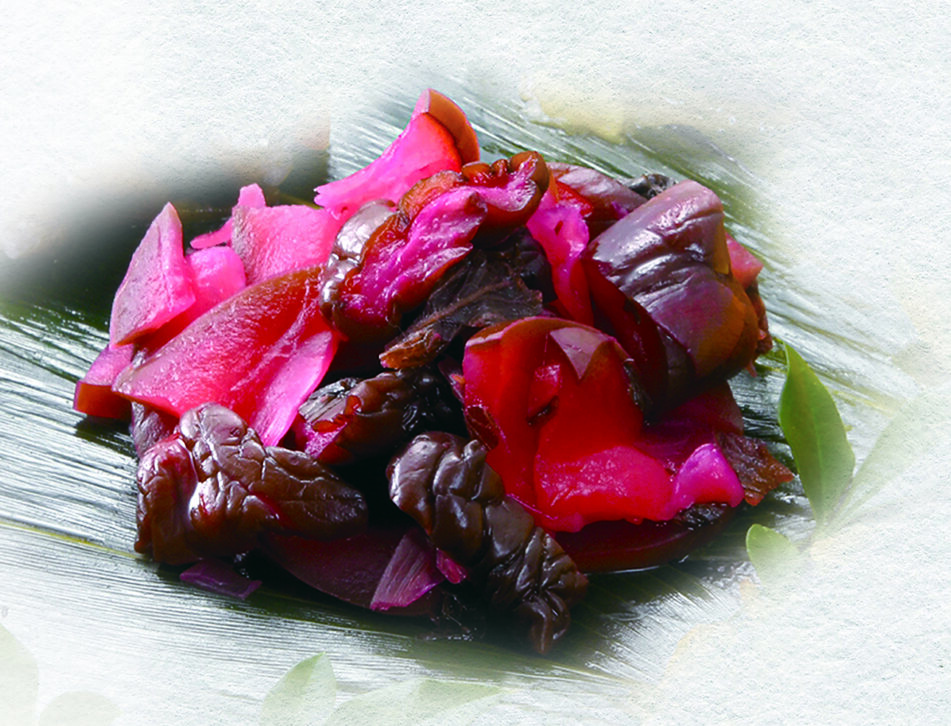 「北海道大学 蝦夷しば」の商品イメージ