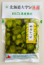 北海道大学 蝦夷かっぱ